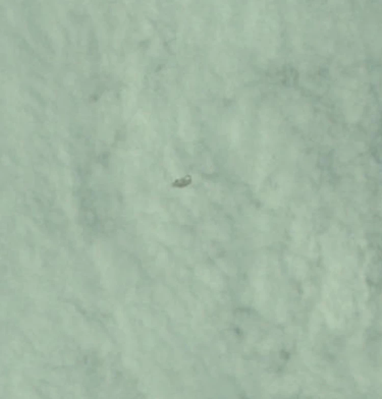 Intrigerende UFO op NASA-ruimtefoto gemaakt door Apollo 9 astronaut in 1969 - uitsnede