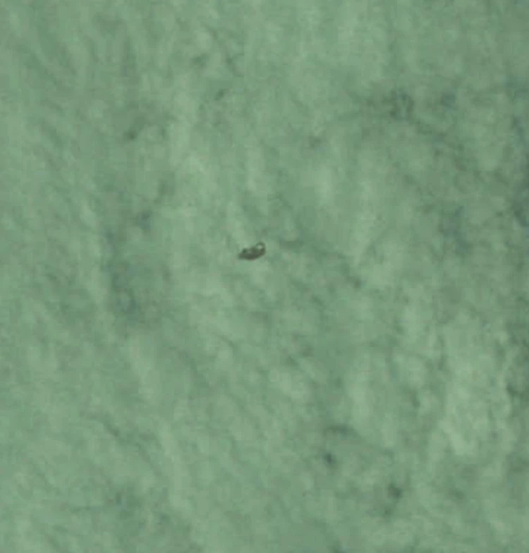 Intrigerende UFO op NASA-ruimtefoto foto gemaakt door Apollo 9 astronaut in 1969 - uitsnede - hoger contrast