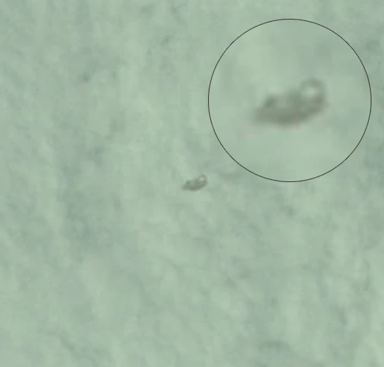 Intrigerende UFO op NASA-ruimtefoto, Apollo 9 - 1969