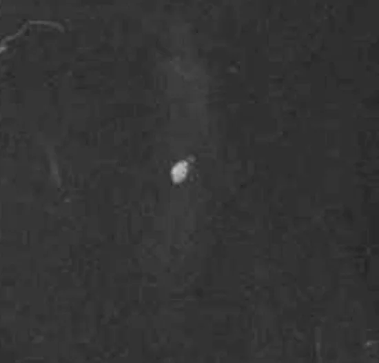 Bolvormige UFO op NASA-ruimtefoto, Apollo 9 - 1969